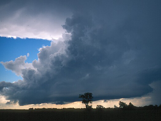 Cumulonimbus