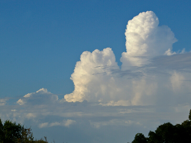 Cumulus congestus