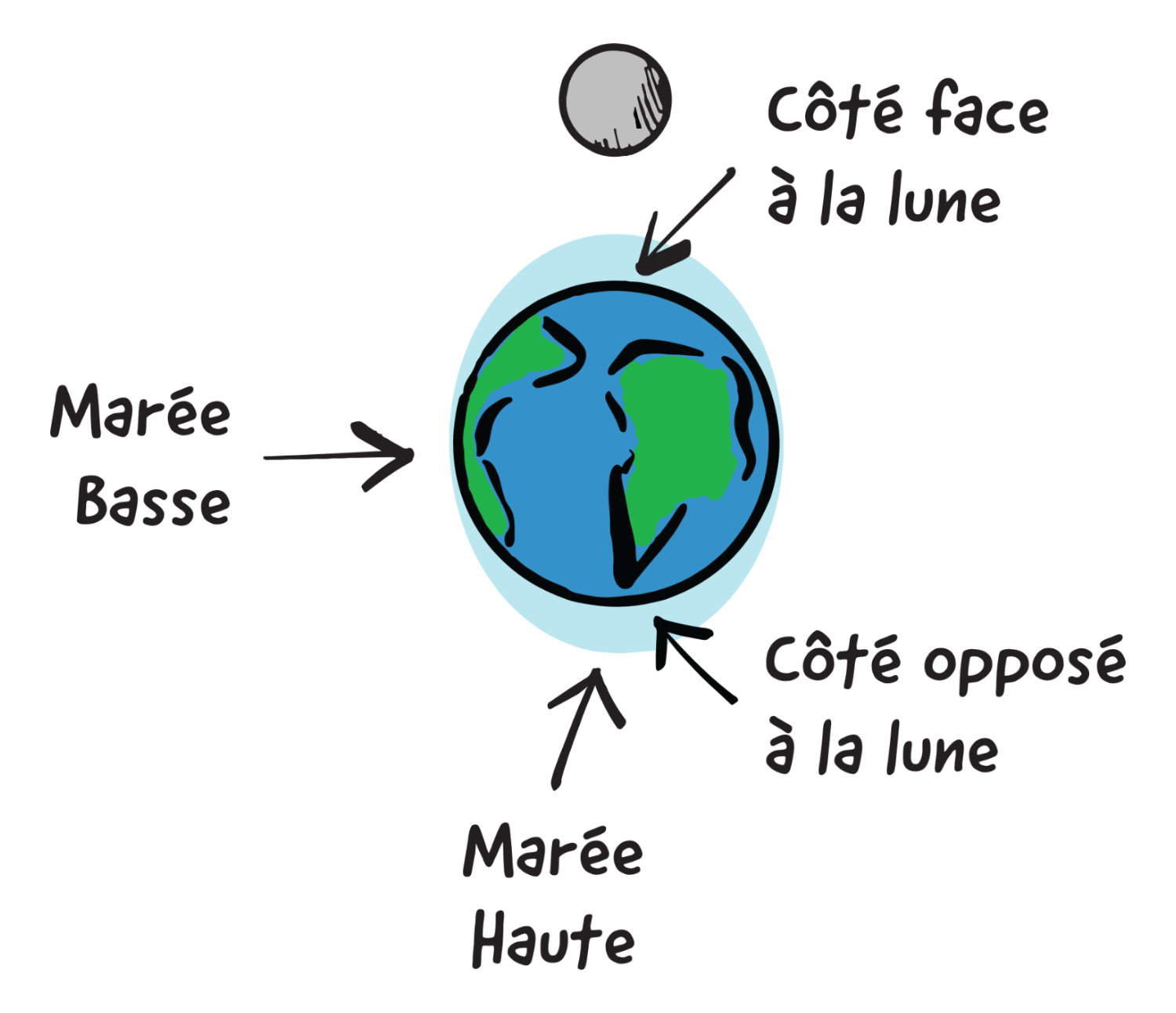 Influence de la lune sur les marées