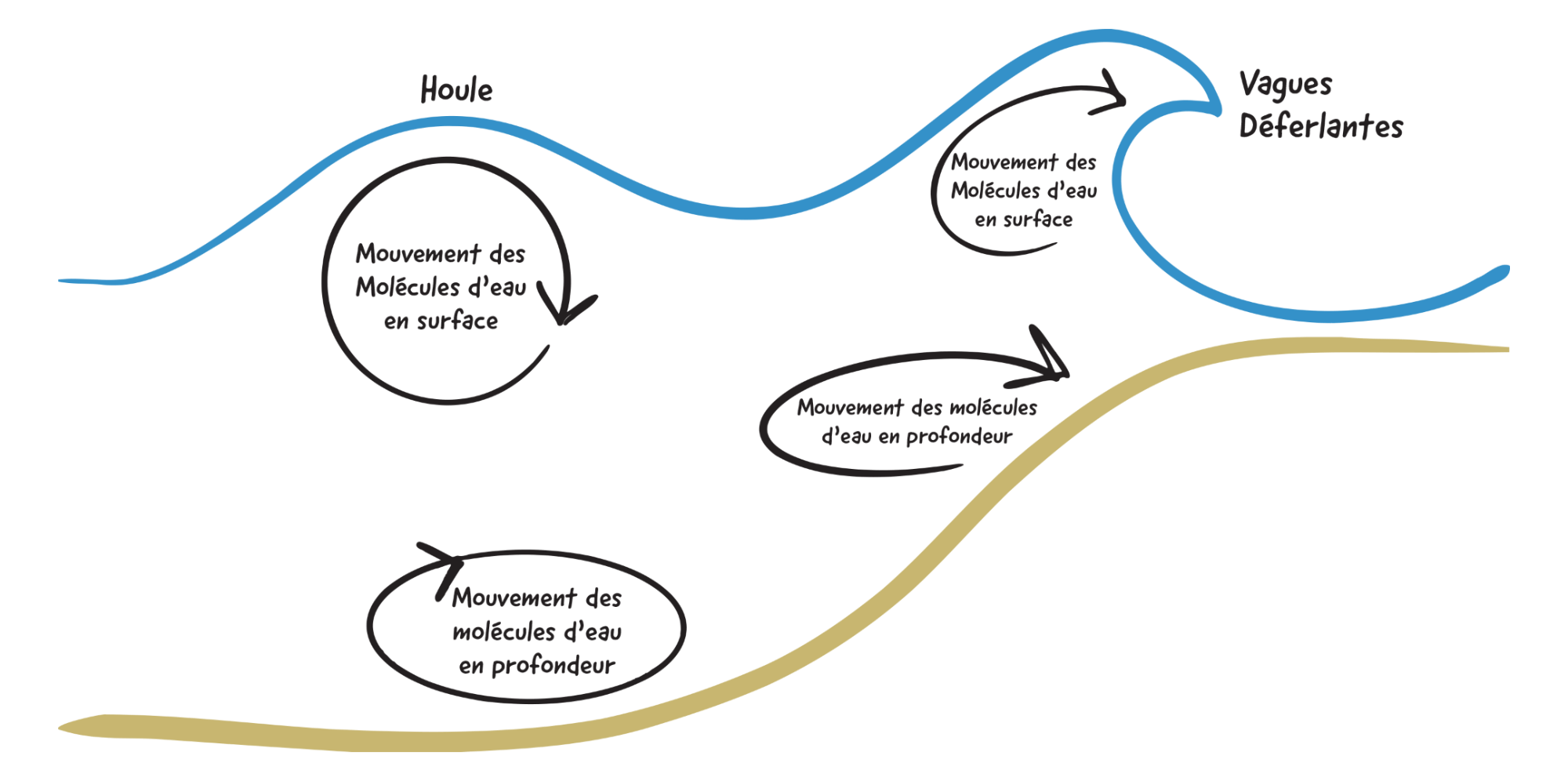 Schéma expliquant la formation de vagues