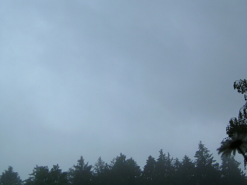 Stratus