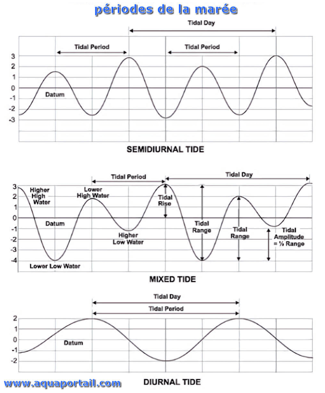 Les 4 types de marées